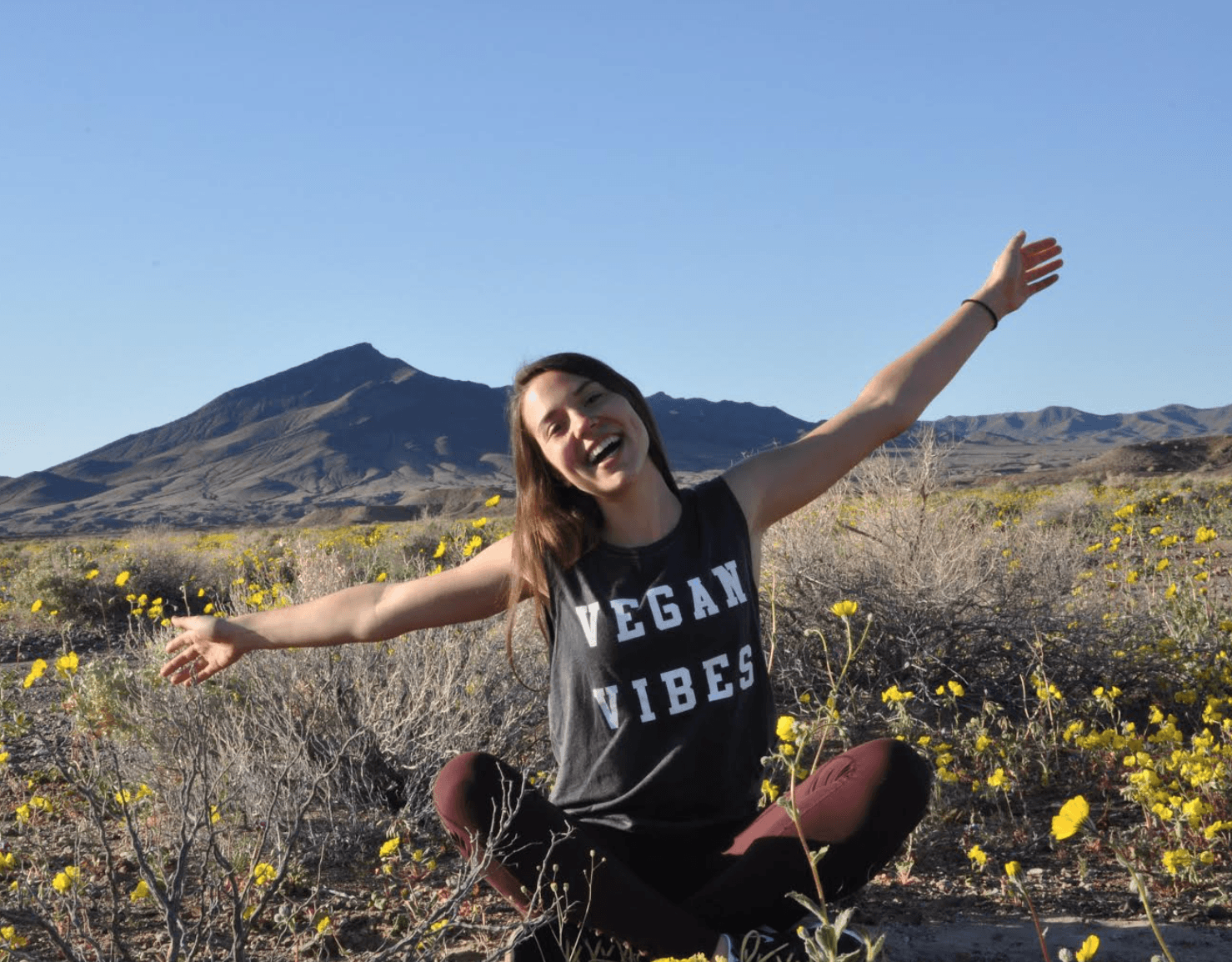 Screen Shot 2016-04-03 at 11.27.56 PM