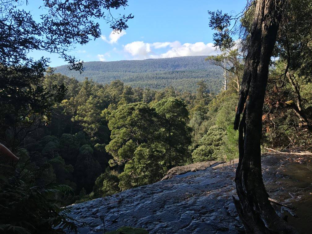 17504587_1728252827464823_677974582034762721_o