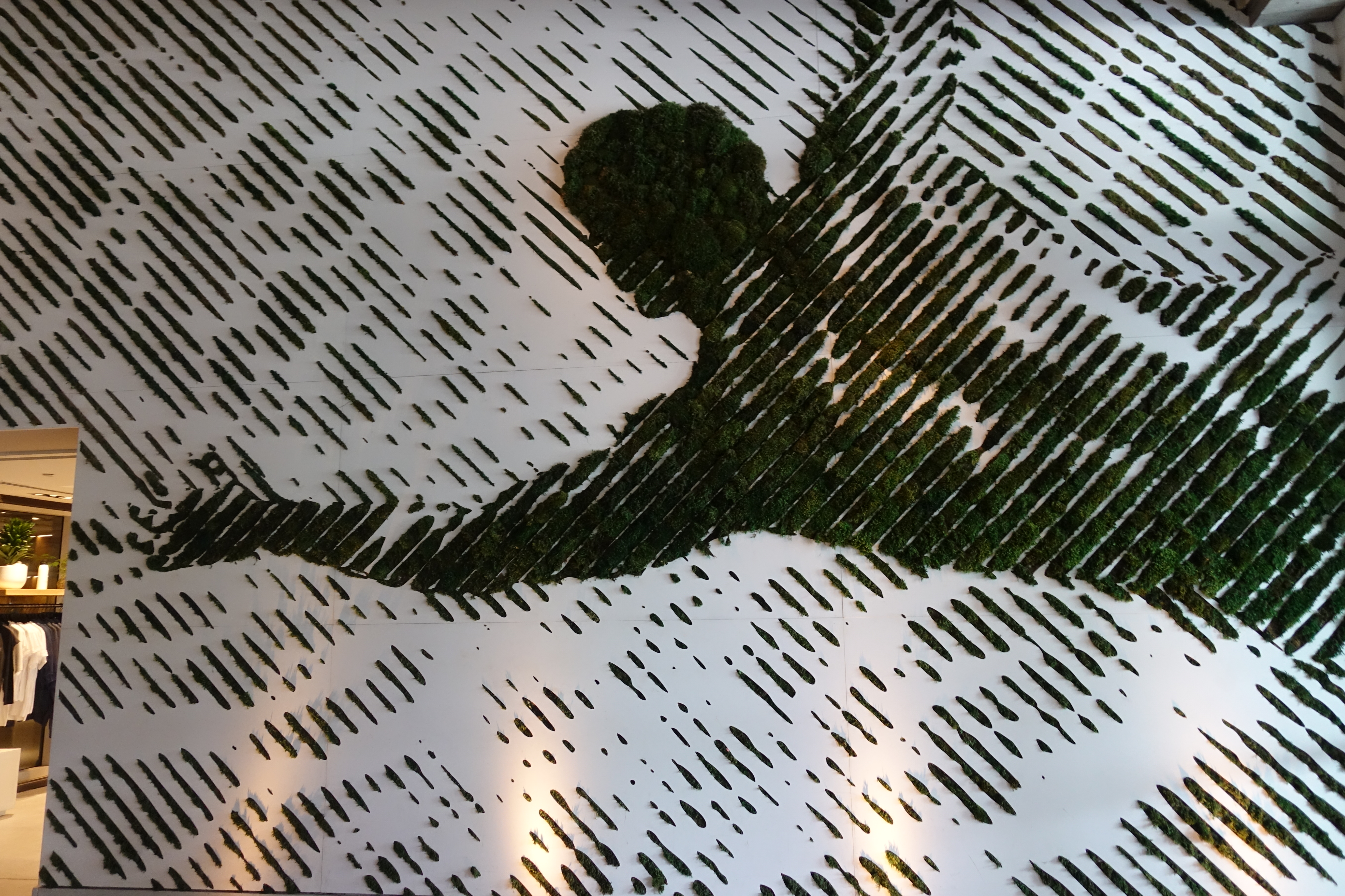 DSC02164